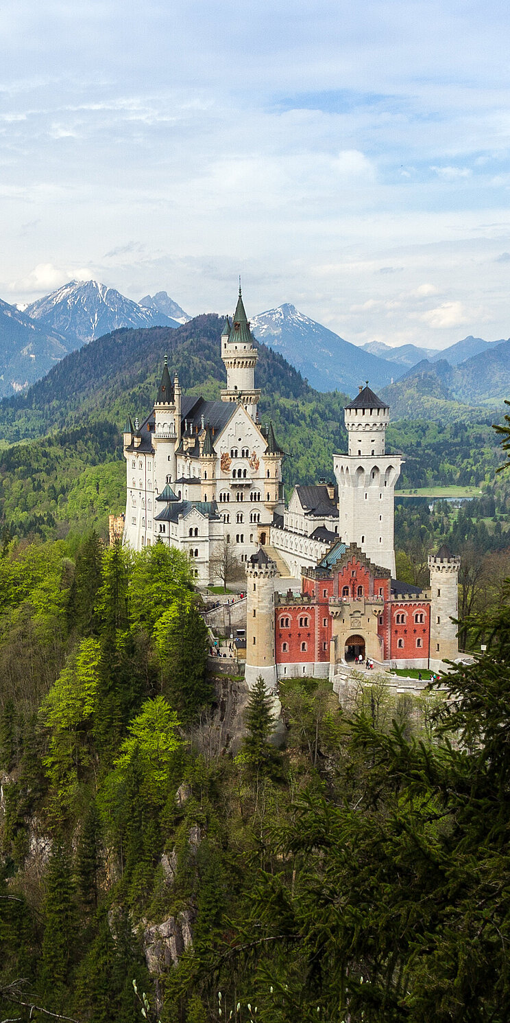 Neuschwanstein: Ein Schloss im Wald vor Hochgebirgspanorama