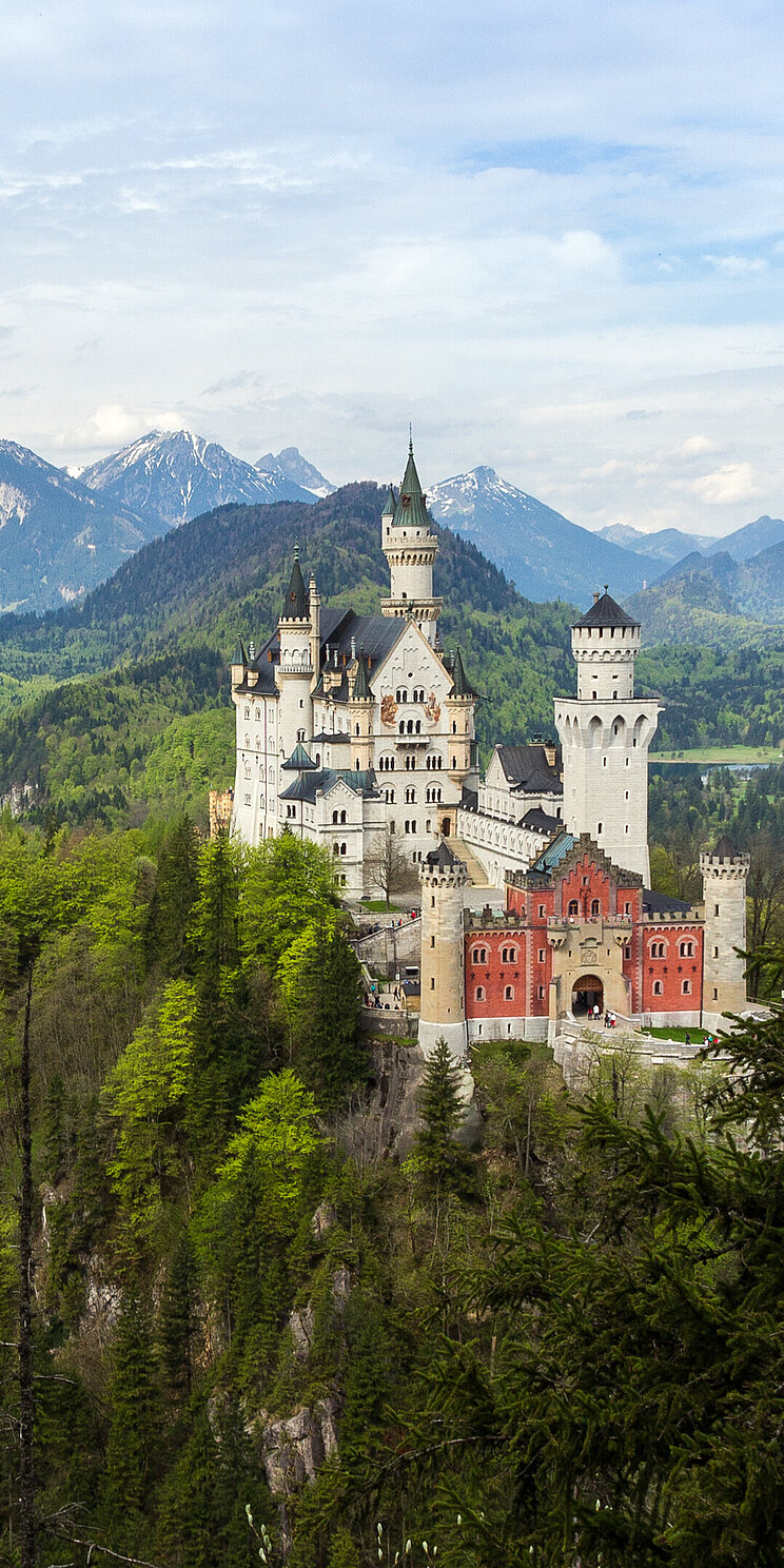 Schloss Neuschwanstein Neuschwanstein: Ein Schloss im Wald vor Hochgebirgspanorama