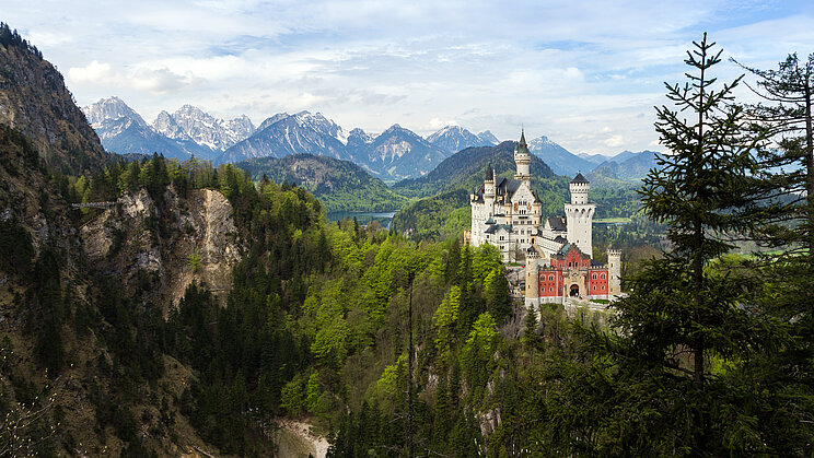 Schloss Neuschwanstein Neuschwanstein: Ein Schloss im Wald vor Hochgebirgspanorama