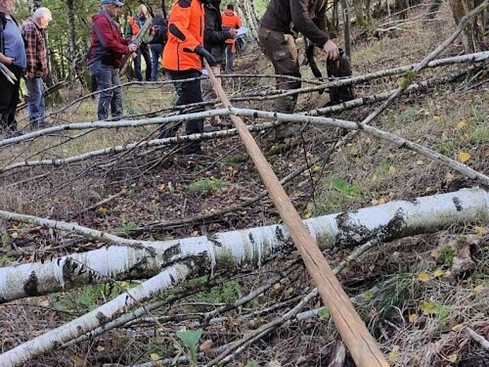 Mitglieder laufen durch den Wald und teilen die Hecken mithilfe einer Rute in neue Anteile ein.