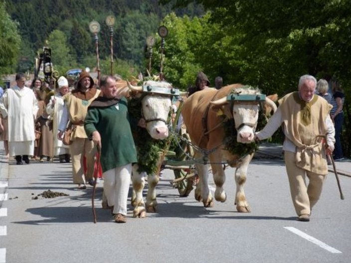 Festumzug in Tracht mit zwei Kühen und Priestern