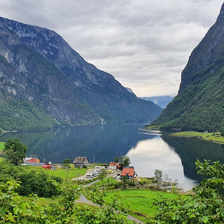Nærøyfjord, Norwegen Blick in den Nærøyfjord, Norwegen