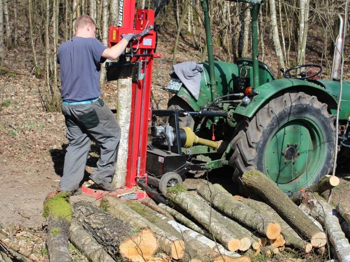 Waldarbeiter spaltet Holz