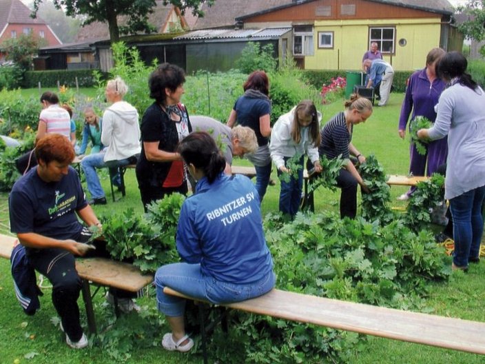 Gruppe von Personen beim Gärtnern