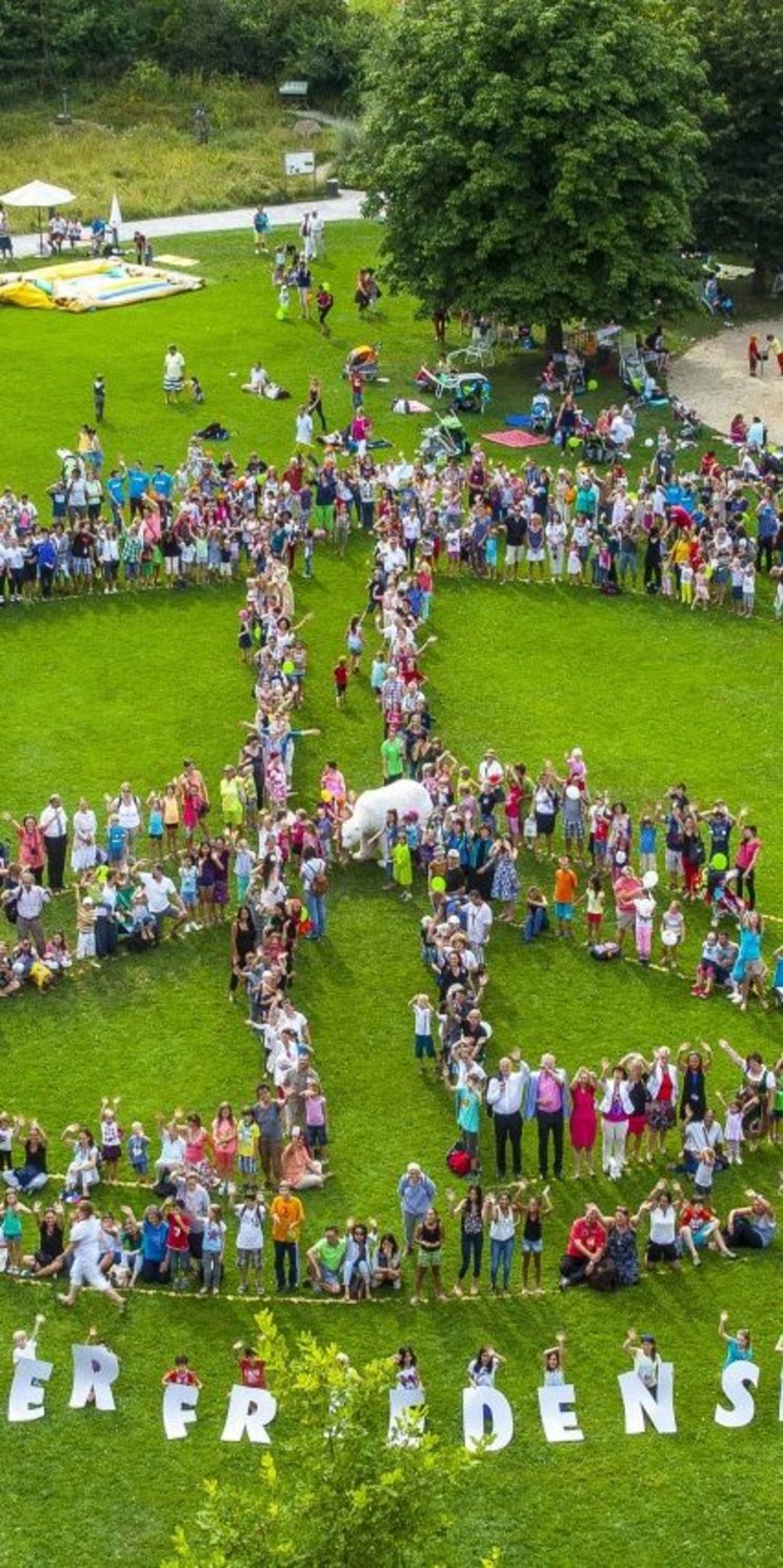 Menschengruppe steht in Form eines Friedenssymbols auf einer Wiese