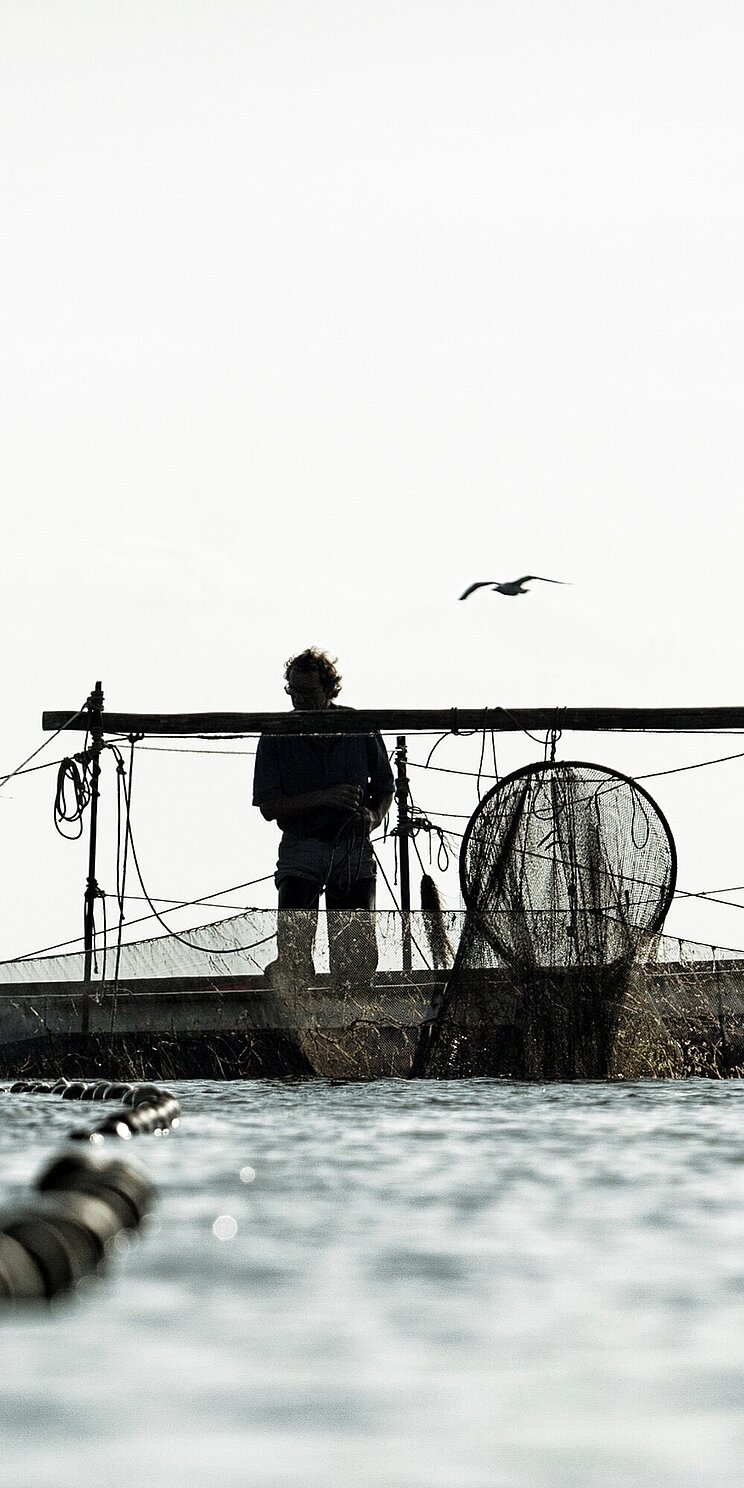 Boot vor der Halbinsel M&ouml;nchgut. Gefischt wird hier mit B&uuml;gelreuse. Die Person auf dem Boot ist von hinten zu sehen.