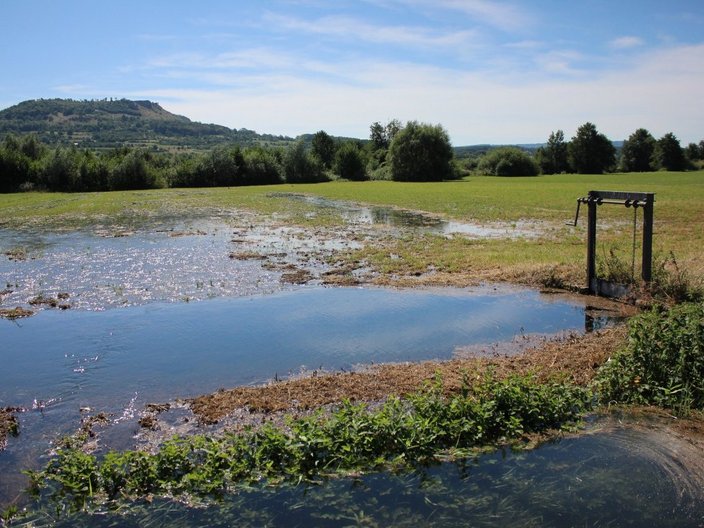 Landschaft mit bewässerter Wiese