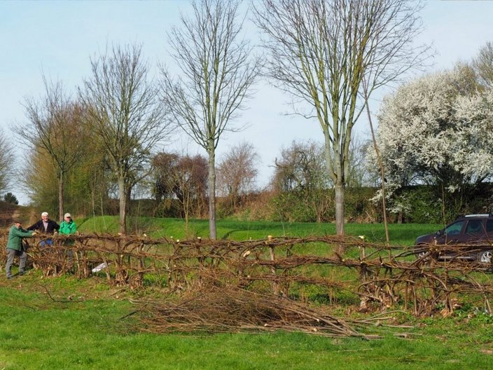 Garten mit Flechthecke