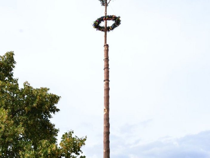 Maibaum