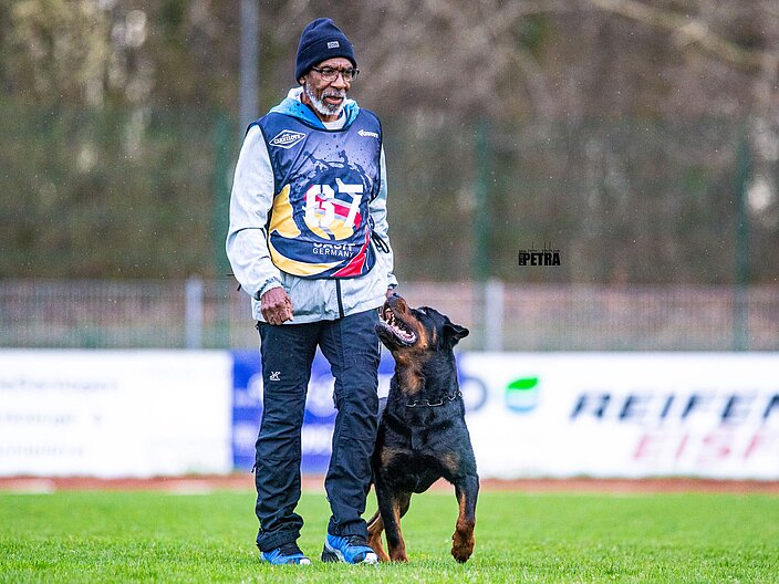 Person läuft mit einem Rottweiler an der Leihne über die Wiese. Der Hund sieht den Menschen an und wartet auf Kommandos.