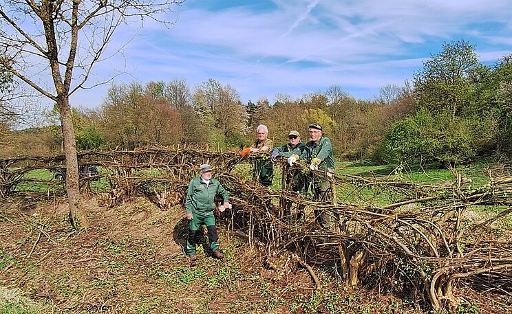 Flechthecke_ARbeitskreisNieheimerFlechthecken ier Personen in Arbeitskleidung stehen an einer Flechthecke und bearbeiten die ineinander verflochtenen Äste und Zweige. Im Hintergrund sind Wiesen und Bäume zu sehen.