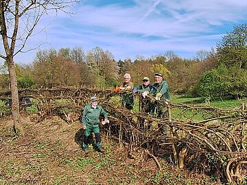 ier Personen in Arbeitskleidung stehen an einer Flechthecke und bearbeiten die ineinander verflochtenen &Auml;ste und Zweige. Im Hintergrund sind Wiesen und B&auml;ume zu sehen.