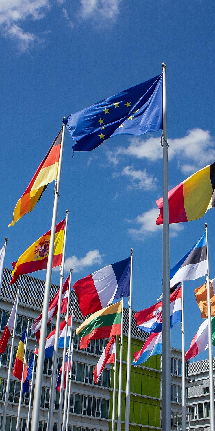 Blick aus der Froschperspektive auf eine Gruppe von Fahnenmasten, an denen jeweils eine europäische Fahne im Wind weht. In Hintergrund ist ein Gebäude zu erkennen.