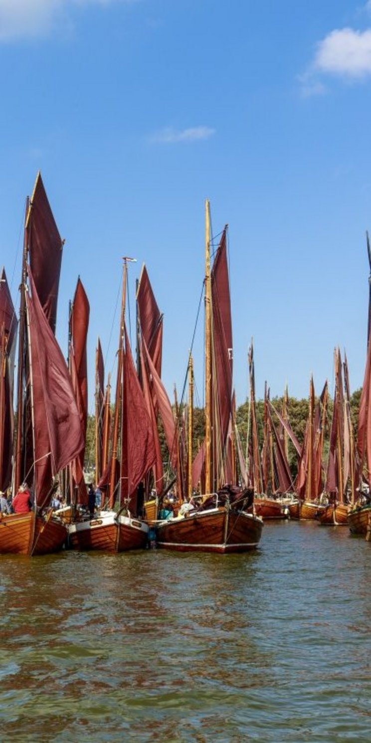 Segelboote im Hafen