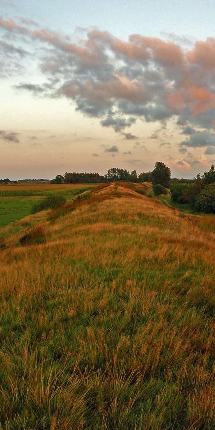 Danewerk, Krummwall Blick vom Krummwall des Danewerks nach Osten