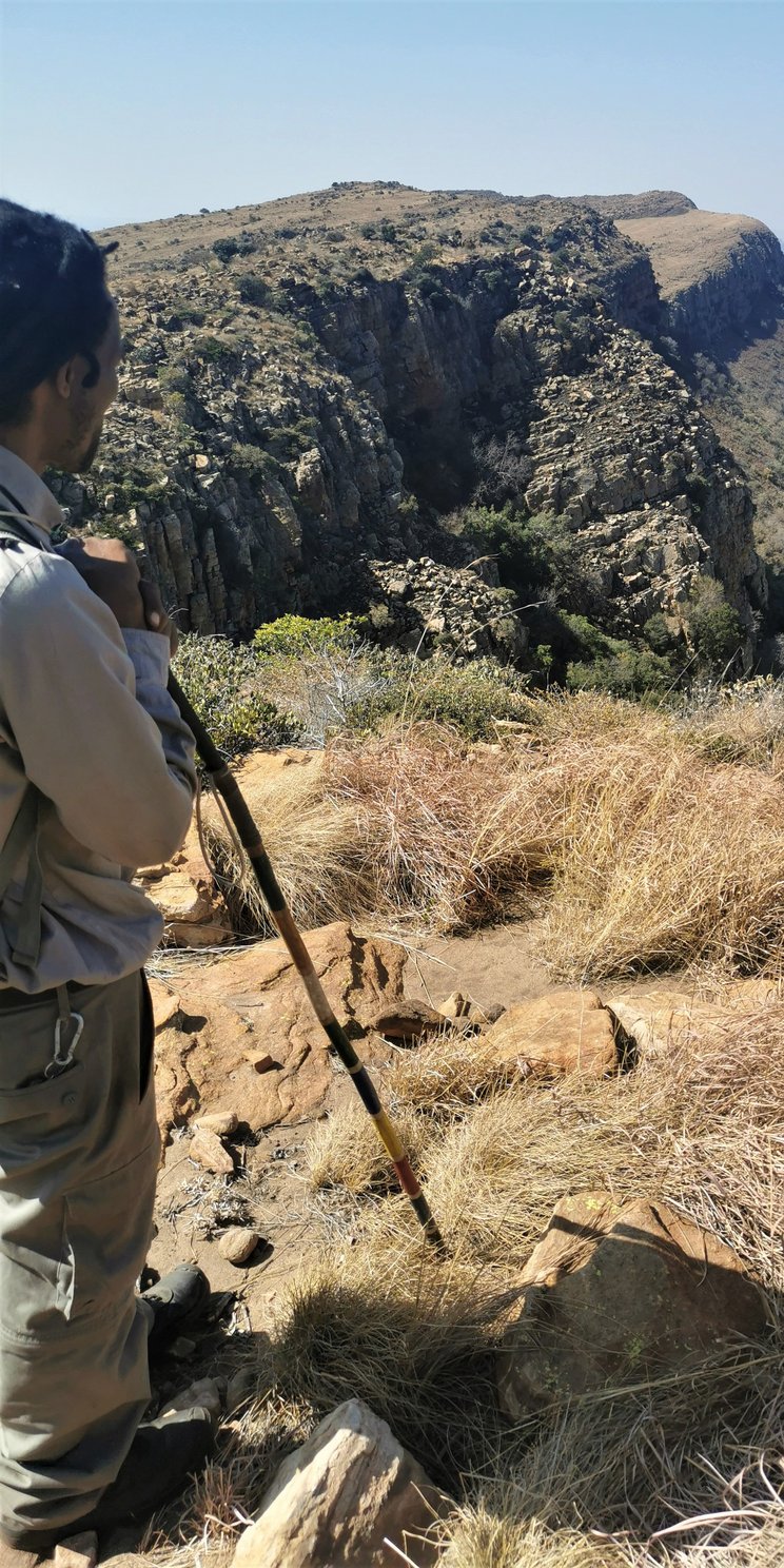 Person steht auf dem Magaliesberg und blickt ins Tal.
