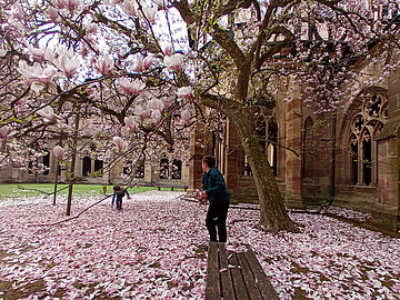 Gewinnerbild Fotowettbewerb WelterbeVerbindet 2025 Kloster Maulbronn