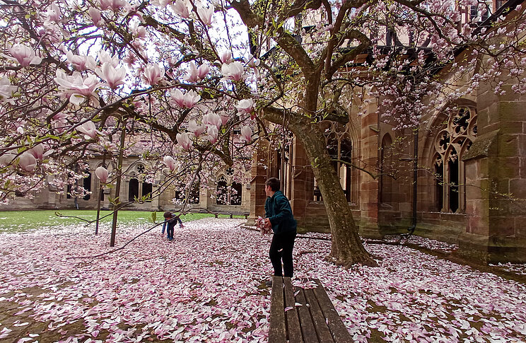 Gewinnerbild Fotowettbewerb WelterbeVerbindet 2025 Kloster Maulbronn