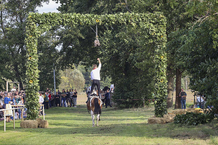 Superkokot_LausitzerSorben Eine Person reitet auf einem Pferd durch einen mit Grünzweigen geschmückten Torbogen und streckt den Arm nach einem daran aufgehängten Ziel aus. Zahlreiche Zuschauerinnen und Zuschauer verfolgen die Vorführung auf einer Wiese, die von Bäumen umgeben ist. Die Szene zeigt einen traditionellen Reitwettbewerb im Freien.