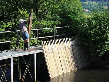 Wässerwiesen_c__IG_Wässerwiesen_Titelbild zeigt eine Wiesenlandschaft