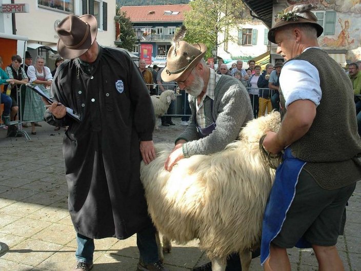 Drei Männer in Schäferkleidung mit Schaf