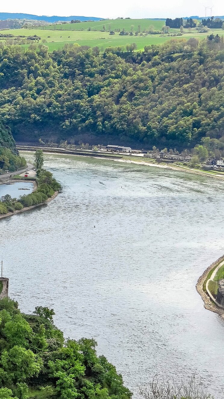 Blick auf Burg Katz und die Loreley im Hintergrund im Oberen Mittelrheintal
