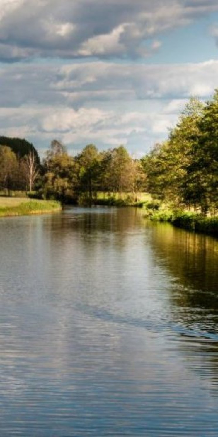 spreewald_kahnfahrt_2_-_C_Aubert Ein Kahn fährt über einen Fluss