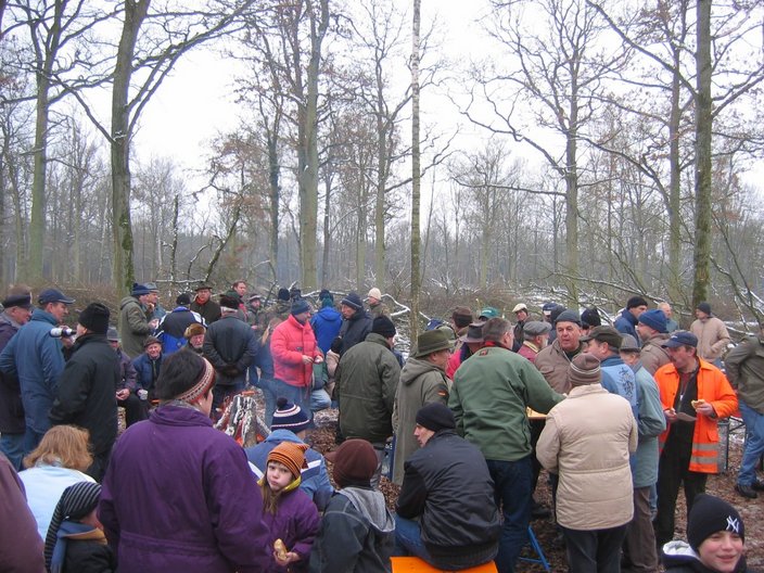 Führung im Wald