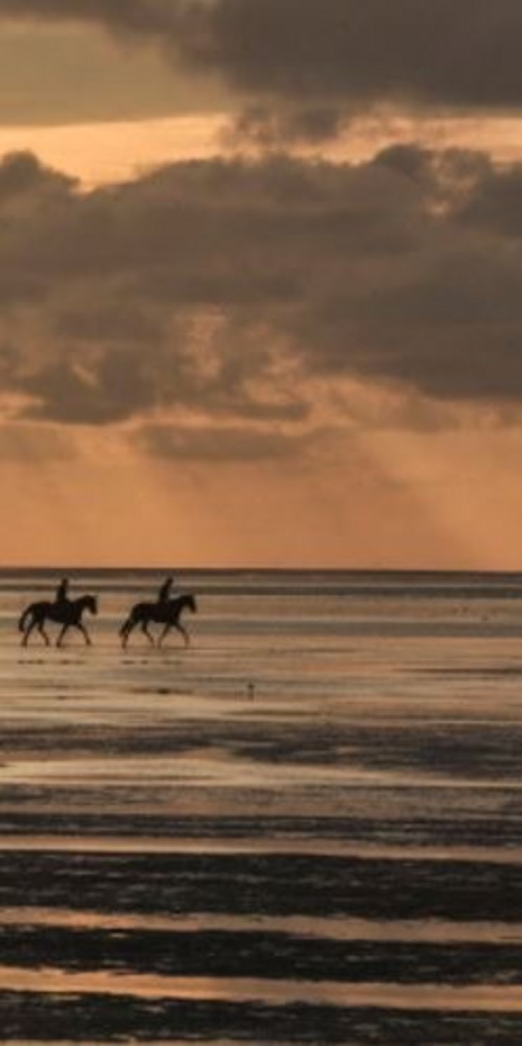 niwatt_sonnenuntergang_-_C_Aubert Sonnenuntergang über dem Wattenmeer