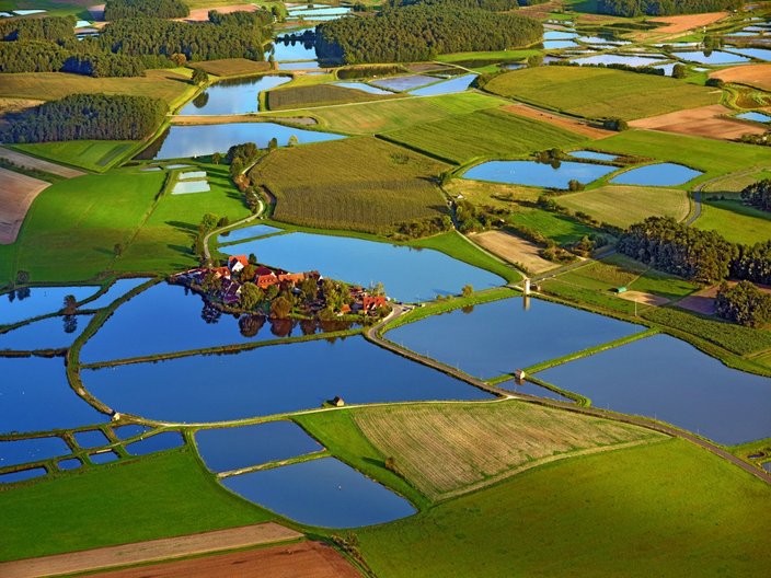 Landschaft mit Karpfenteichen