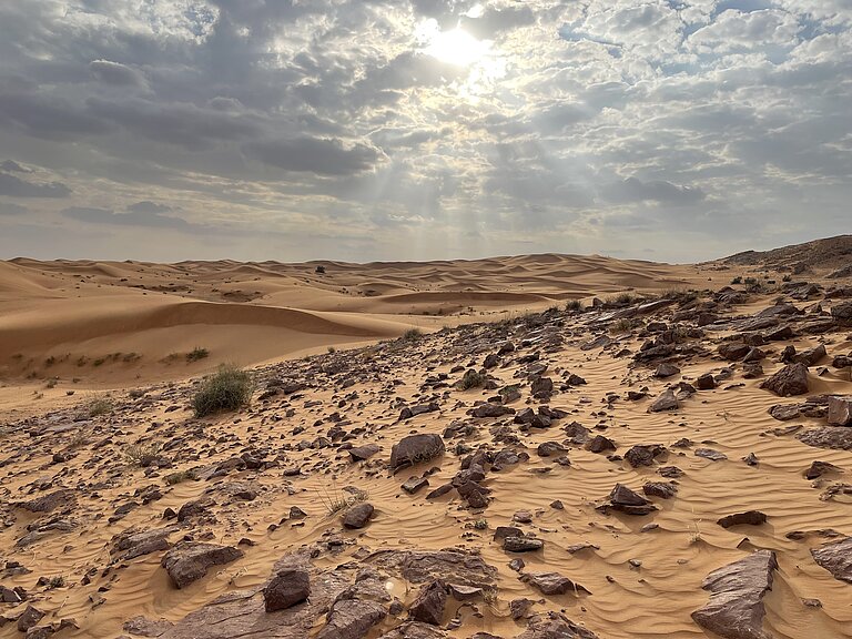 Faya Paläolandschaft Wüstenlandschaft in den Vereinigten Arabischen Emiraten