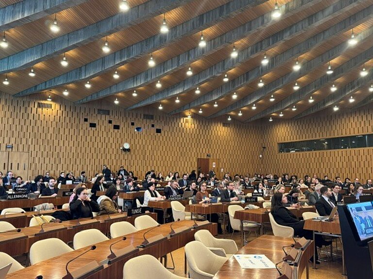 Treffen der Mitgliedsstaaten der UNESCO Treffen der Mitgliedsstaaten der UNESCO