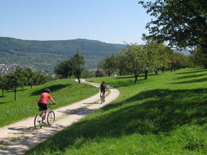 Zwei Fahrradfahrer in einer grünen Wiesen- und Gebirgslandschaft