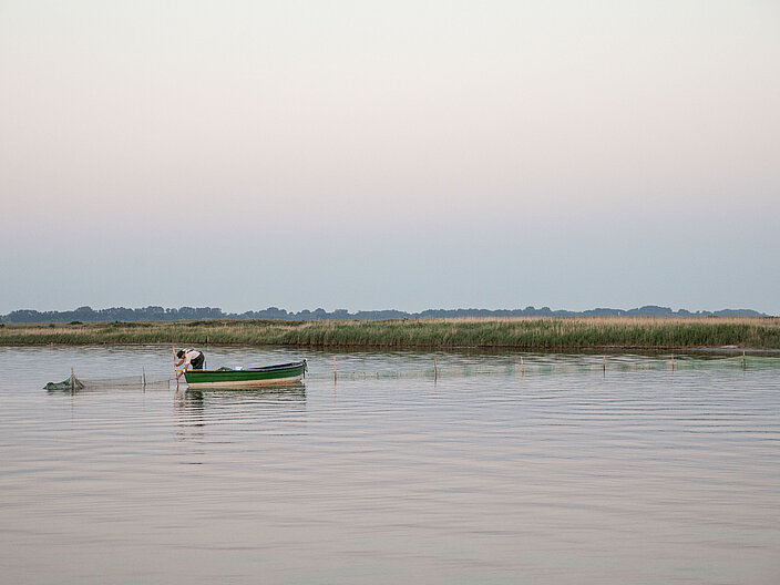 03_Küstenfischerei_Krabbenring_im_Salzhaff_bei_Wismar_Franz_Bischof Kleines Boot in der Wismarbucht. Person auf dem Boot untersucht Fischnetze nach Ostseegarnelen