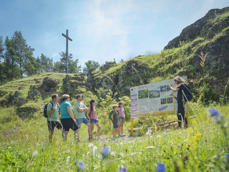 Geopark Ries Führung am Adlersberg Auf Exkursion im Geopark Ries