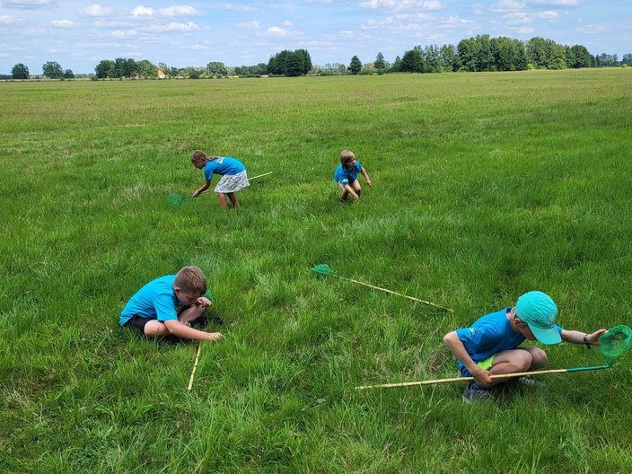 Kinder auf der Wiese