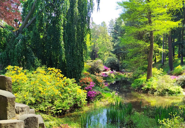 Parklandschaft in Kromlau