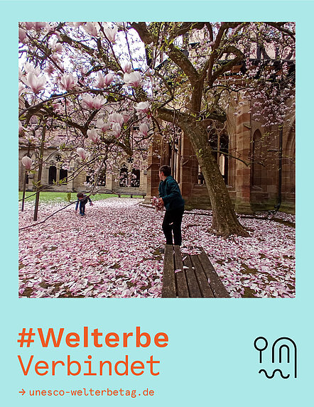 Gewinnerfoto Fotowettbewerb WelterbeVerbindet 2025 Blütenschlacht im Kloster Maulbronn