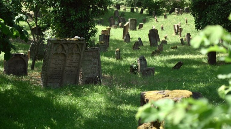 Der Friedhof „Heiliger Sand“ in Worms ist Teil der SchUM-Stätten.