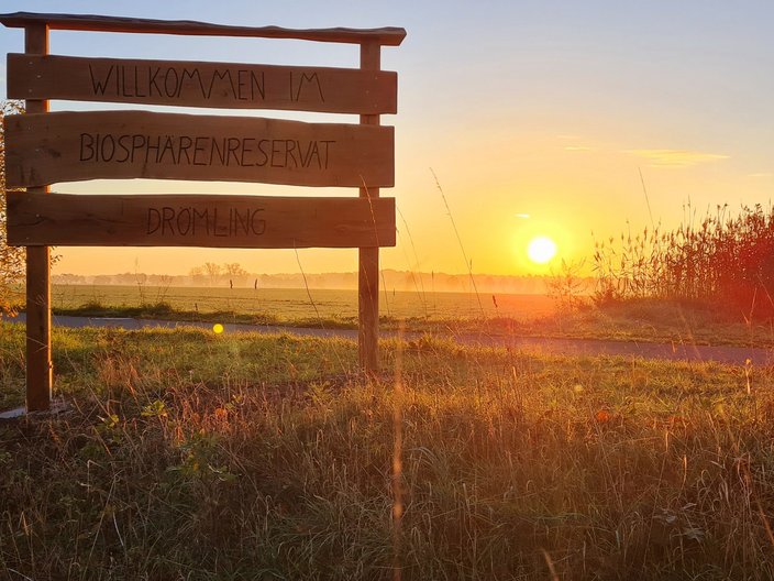 Sonnenaufgang im Biopshärenreservat Drömling