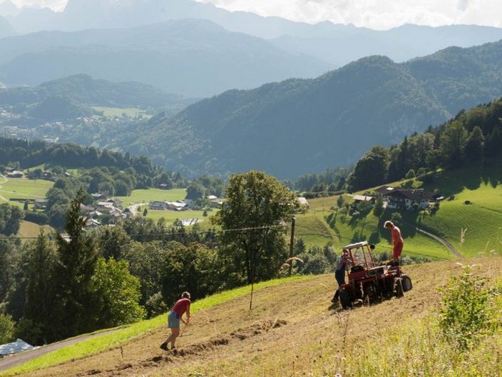 Grünlandwirtschaft im Berchtesgardener Land