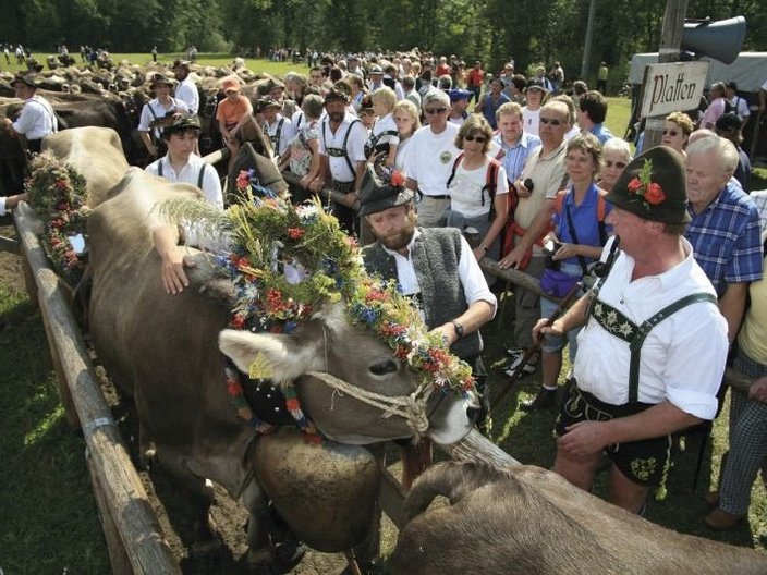 Almabtrieb mit geschmückten Kühen und Personen in Tracht