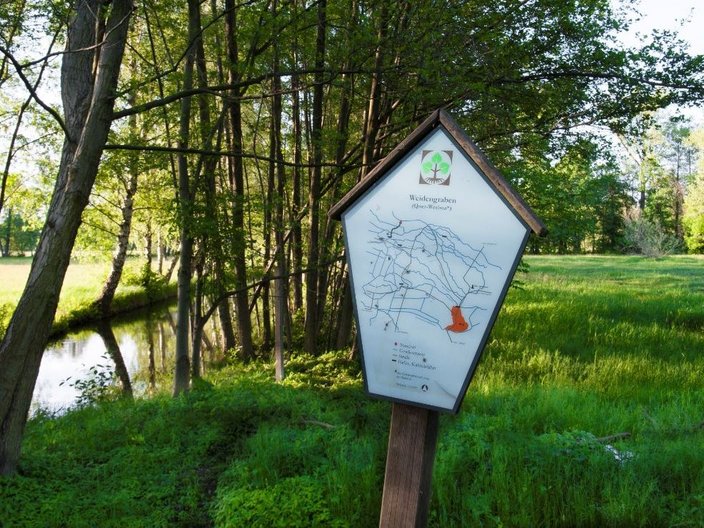 Waldlandschaft mit Fluss