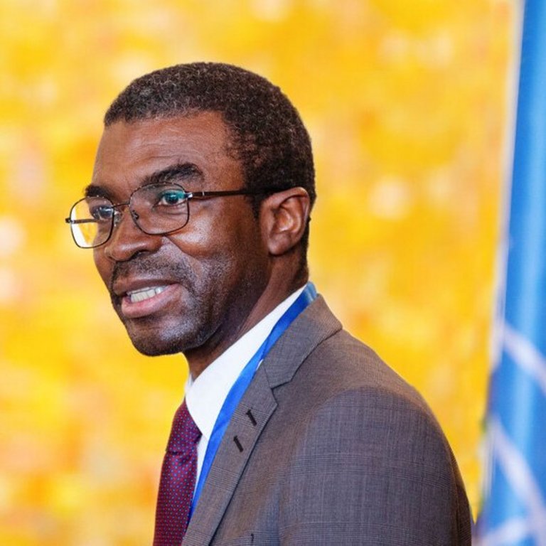 Lazare Eloundou Assomo Lazare Eloundou Assomo, Direktor des Welterbezentrums in Paris, bei einer Rede vor einer Flagge der UN