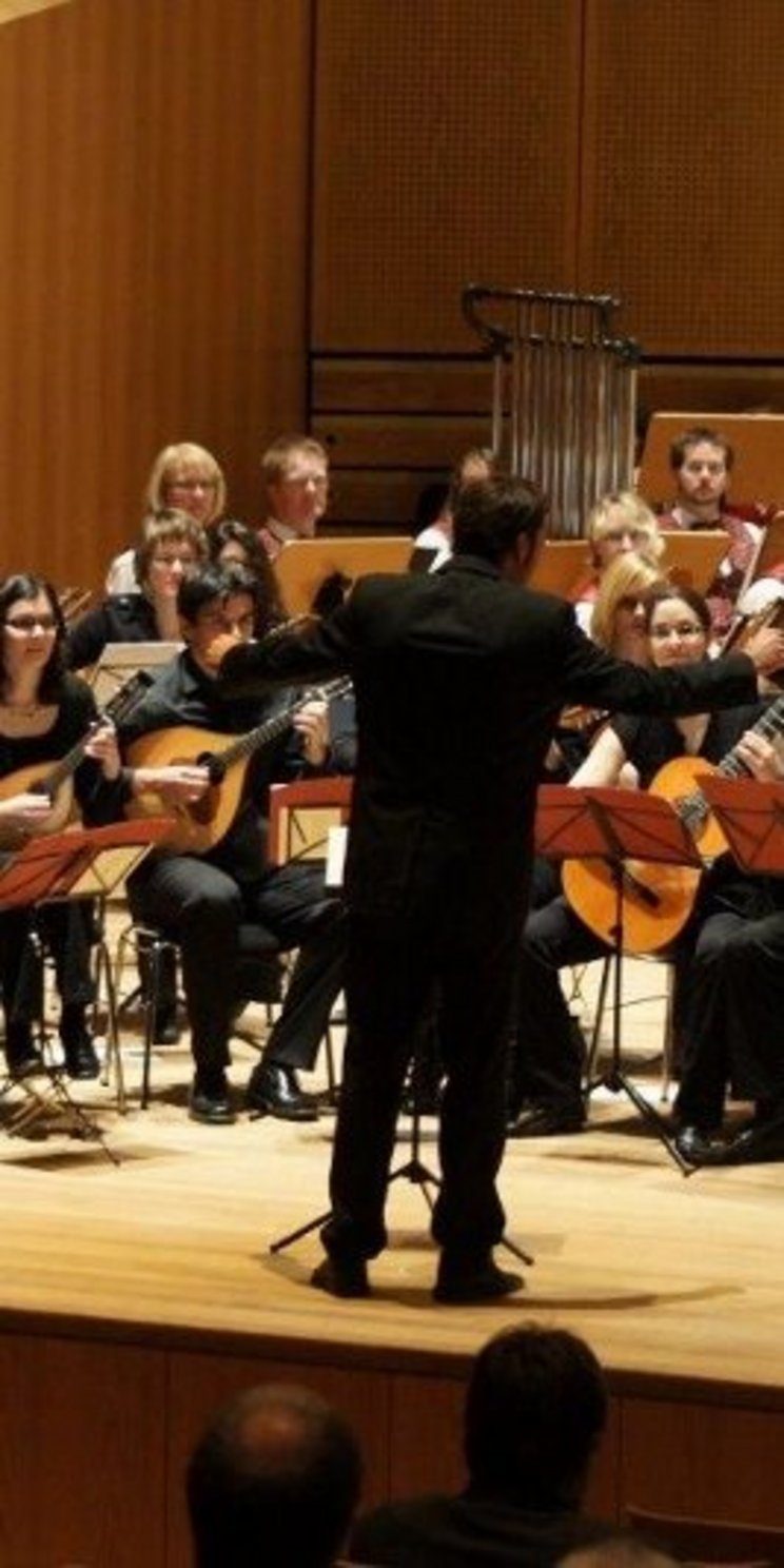 6_010-MUSIZIER-Zupforchester_Joerg.Tisken_03 Ein Orchester aus Zupfinstrumenten während eines Konzerts