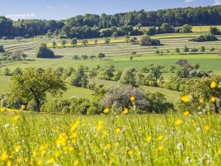 Landschaftsannsicht