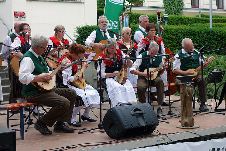 Waldzither_LutzWille Musikgruppe bei einem Auftritt im Freien. Im Vordergrund spielen mehrere Personen auf Waldzithern, weitere begleiten auf Gitarren und anderen Saiteninstrumenten.