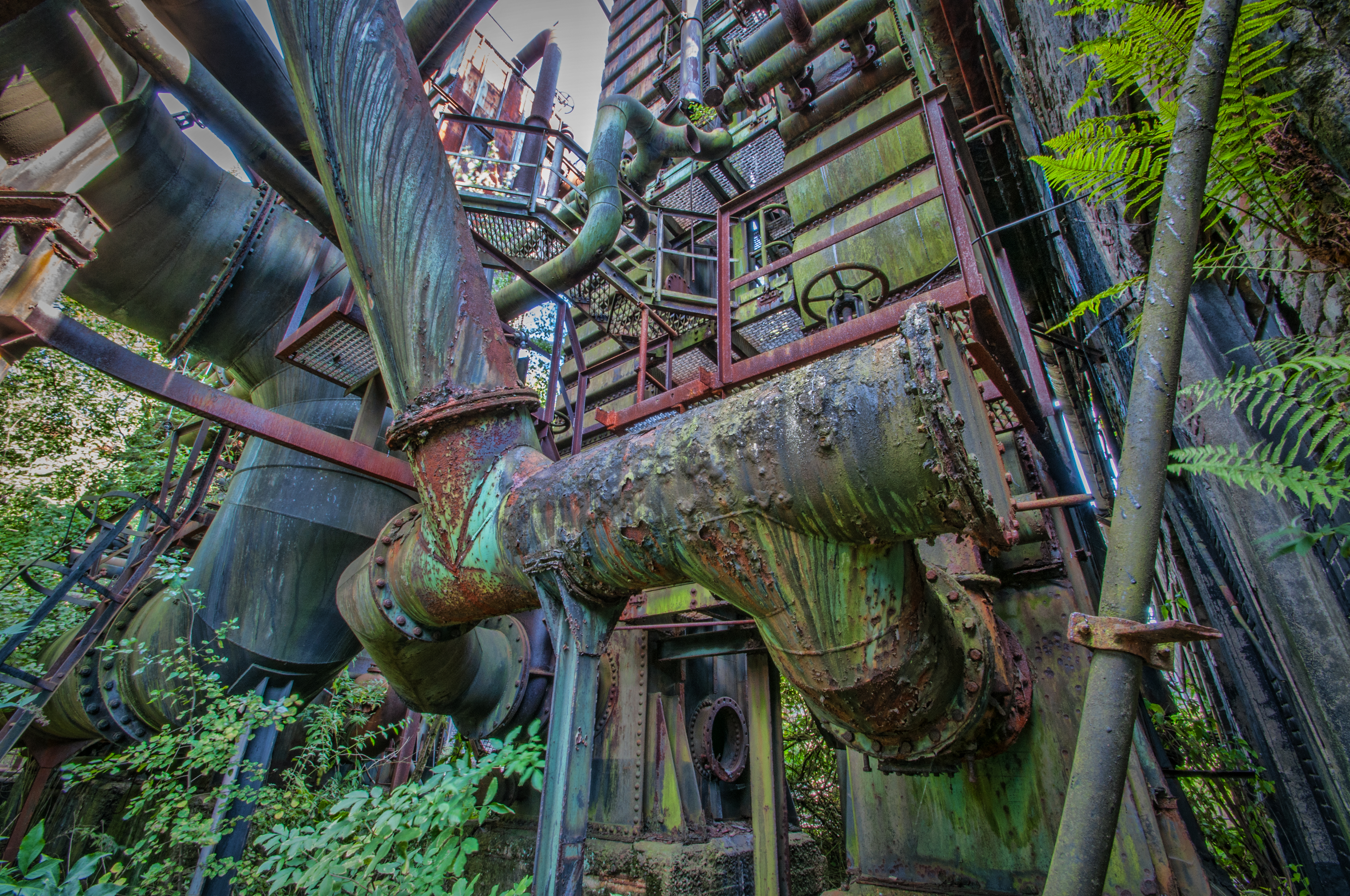 Das Bild zeigt eine von Sträuchern und Bäumen umwachsene Industrieanlage.