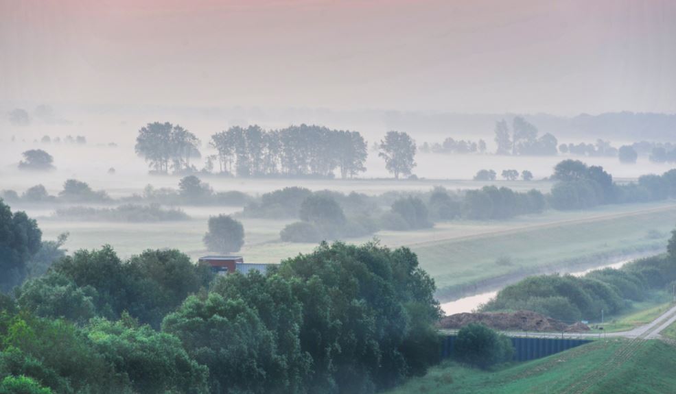 Die UNESCO erkennt 1979 die ersten Biosphärenreservate in Deutschland an: darunter das Biosphärenreservat Steckby – Lödderitzer Forst, heute Teil der Flusslandschaft Elbe.