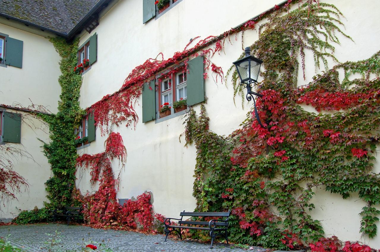 Blick auf die Außenfassade von Kloster Reichenau